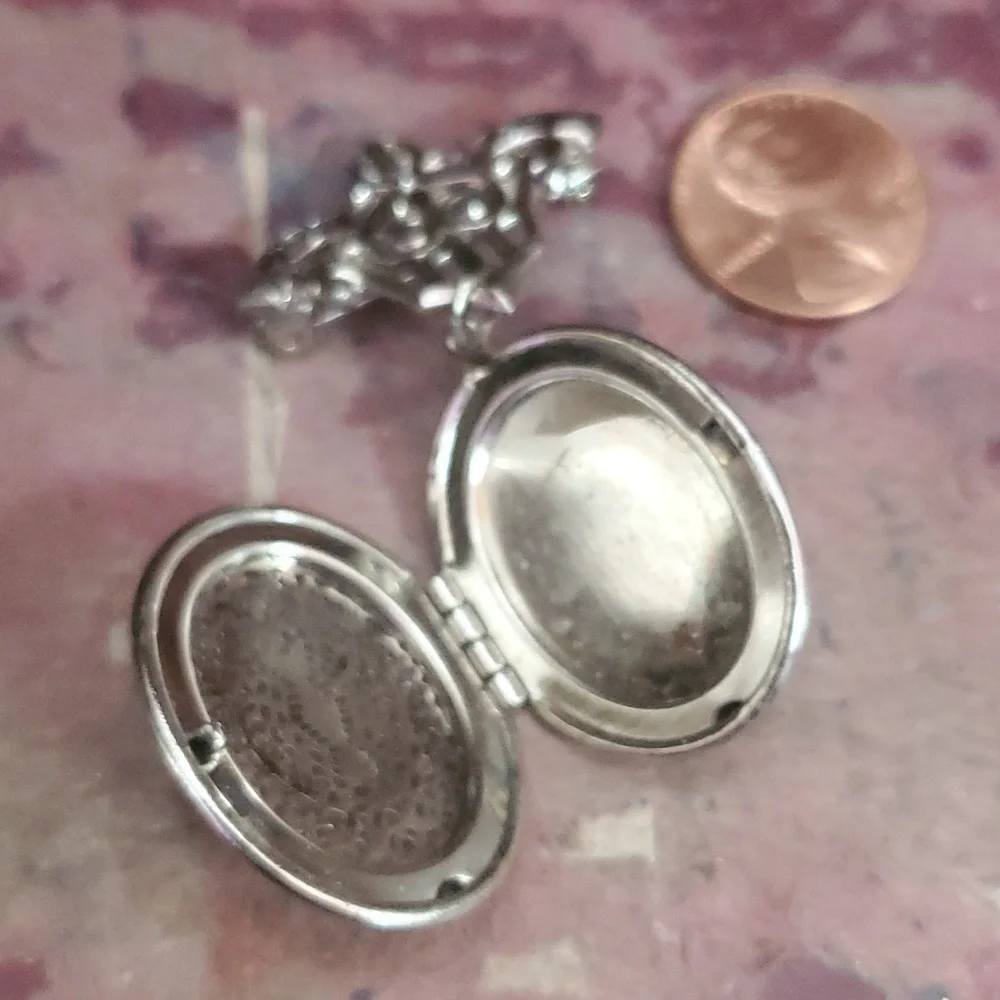 Locket brooch. Silver Tone. DX566